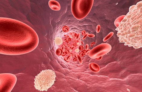 Leucemia linfatica cronica, Congresso ASH: presentati dati follow-up su studi con idelalisib