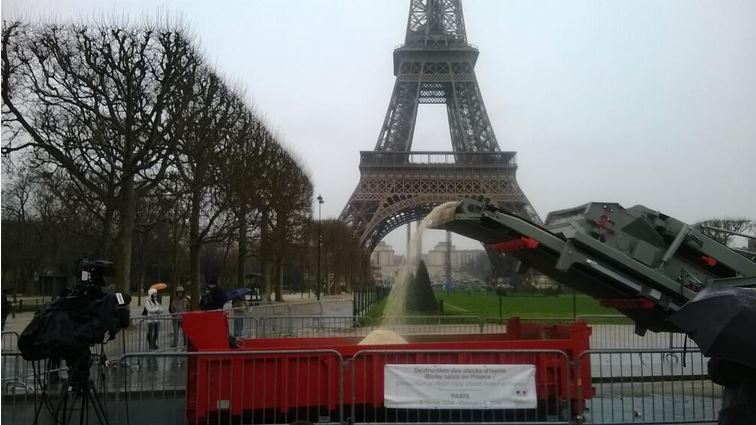 Specie a rischio, a Parigi distrutte 3 tonnellate di avorio illegale