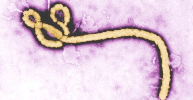 Ebola, in Liberia calano i casi di contagio