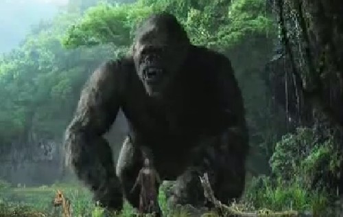 Film King Kong su Rete 4 stasera 2 settembre 2014 con Naomi Watts in prima serata
