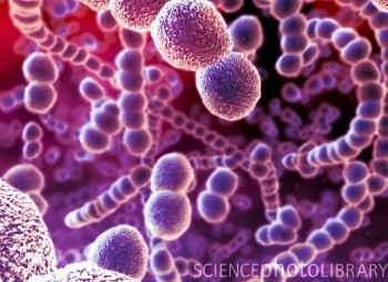 Allarme batteri multiresistenti: cosa sono, quali le cause e cosa fare