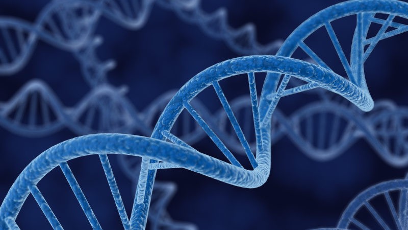 Fecondazione: 5 cose da sapere sul test genetico preimpianto (PGT)