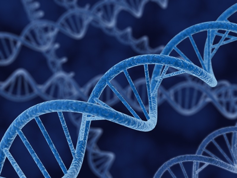 Medicina della Riproduzione: la nuova frontiera si chiama genetica.