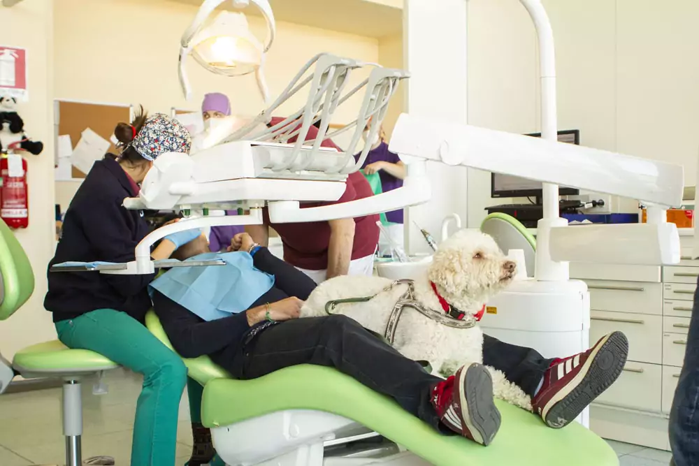 Dog Therapy alla Dental School Molinette For a Smile Elanco