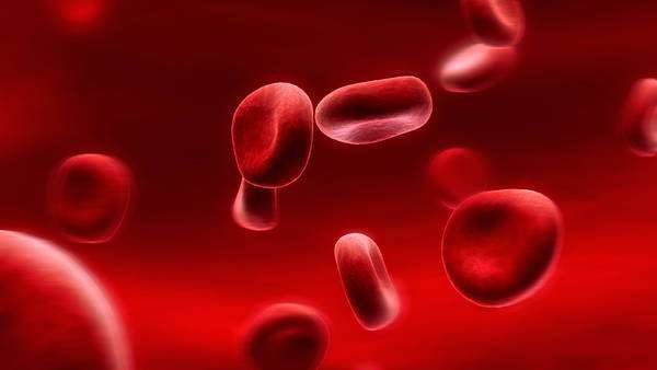 Tumori del sangue: in arrivo il primo anticorpo bispecifico per il trattamento del mieloma multiplo